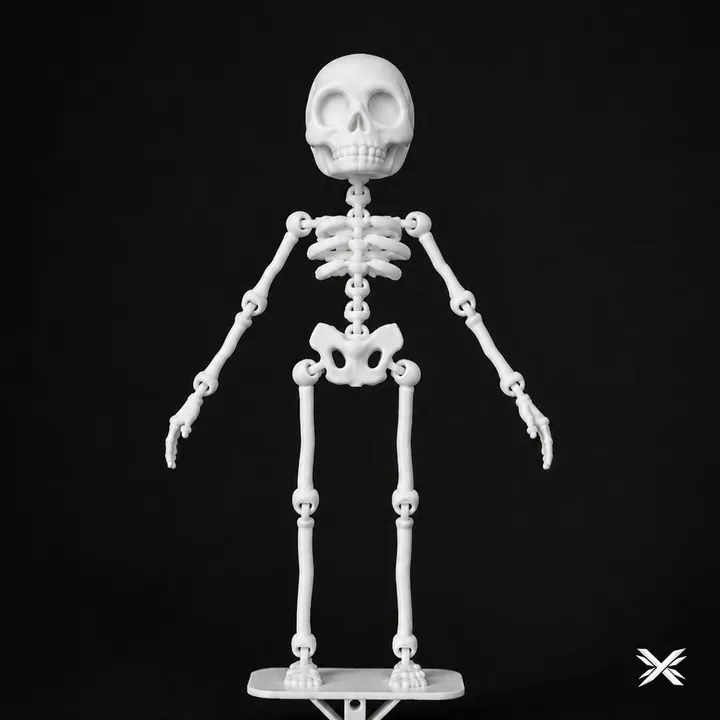 Articulated skeleton figure – NexGLab 3D